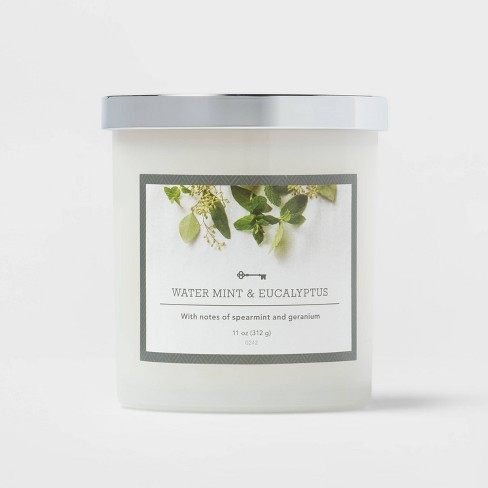 Eucalyptus + Mint 16 oz candle – The Candle Farm