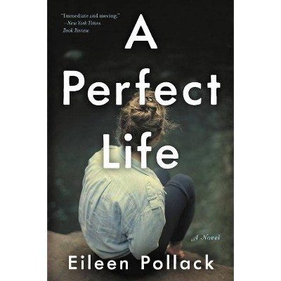 A Perfect Life - by  Eileen Pollack (Paperback)