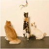 3-Pack Rainbow Cat Dancer-Cat Charmer Wand,Teaser-Cat & Kitten Toy! - image 4 of 4