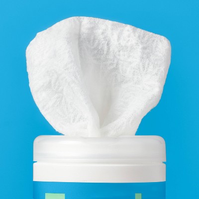 Fresh All Purpose Disinfecting Wipes