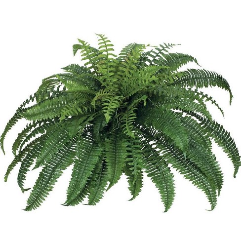 Sullivans Artificial Boston Fern Plant 34 W Green Target