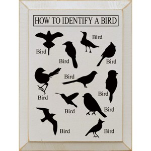 Slickblue Bird Guide Wooden Sign, Knotty Pine 9x12 Inch Wall Decor, Rustic Style, Color Options - 1 of 3
