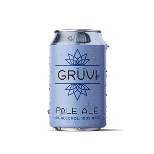 Gruvi Non-Alcoholic Pale Ale - 6pk/12 fl oz Cans