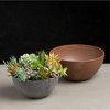 Novelty Indoor/Outdoor Artstone Napa Bowl Planter with Water-Minder - 4 of 4