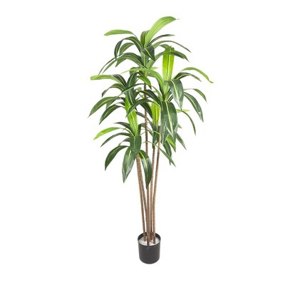 Brazilian Ironwood Artificial Plant – 6FT Garden Faux Tree with 5 Trunks, Tall Greenery Topiary for Modern Indoor & Outdoor Home Decor