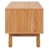 Aino 2 Door Media Stand - MED9619 - Safavieh - 4 of 4
