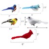 Cornucopia Imitation Bird Assortment, 30pc Set, Artificial Birds for Christmas Decor, Wreaths, Floral Crafts, and Flower Arrangements - 2 of 4
