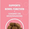 Pet Health Pros Advanced Probiotics for Dogs - Probiotic Soft Chew for Upset Stomach - Promotes Happy Gut, Happy Dog - 60 ct - 2 of 4