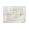 Trademark Fine Art -Cora Niele 'Pure White Rose' Multi Panel Art Set - 2 of 4