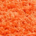 tiger orange