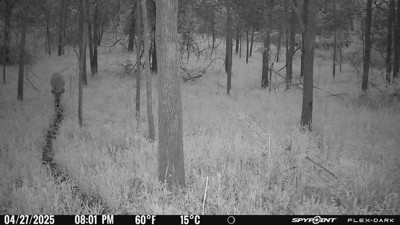 Guest review image 1 of 2, zoom in