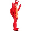 HalloweenCostumes.com Crab Costume for Kids - 3 of 3