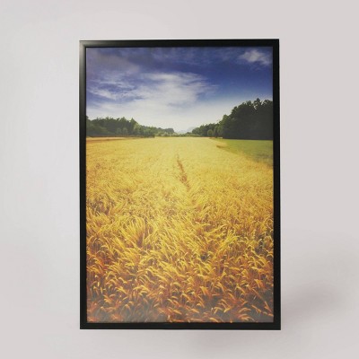 DELUXE35 Picture Frame 40x75 cm or 75x40 cm Photo/Gallery Poster Frame 