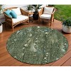 HomeRoots 8' Fern Green And Beige Round Abstract Washable Indoor Outdoor Area Rug - 2 of 3