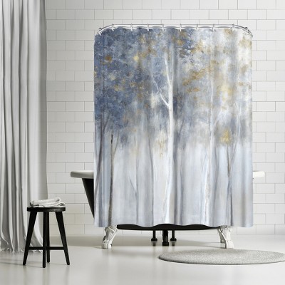 Gold Ii By Pi Creative Art 71 X, Silver And Gold Shower Curtain