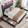 Nasitip Bed Frame with 50.8" Tall Headboard, Velvet Upholstered Bed Frame with 4 Storage Drawers, No Box Spring Needed, Easy Assembly - 3 of 4