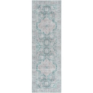 Arizona ARZ244 Power Loomed Machine Washable Skid Resistant Indoor Rugs - Safavieh - 1 of 4