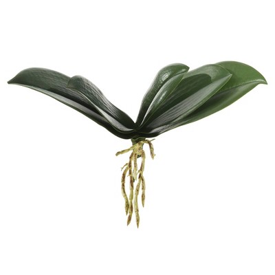 9.5" 3pk Artificial Orchid Leaf - Vickerman