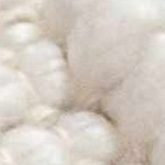 beige, ivory