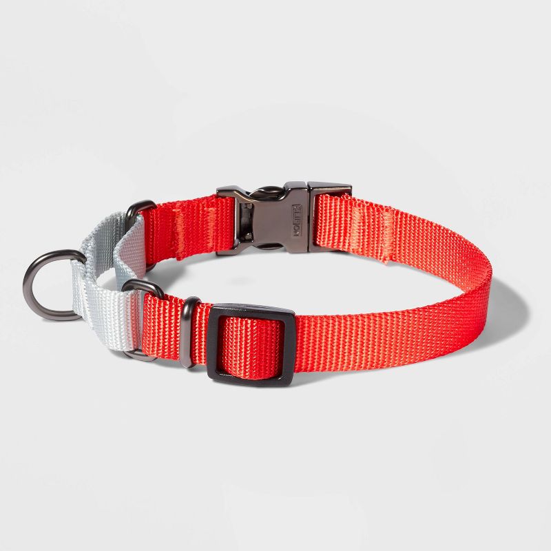 Martingale with Buckle Dog Collar - Tomato/Silver - Boots & Barkley™, 3 of 5