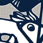dallas cowboys