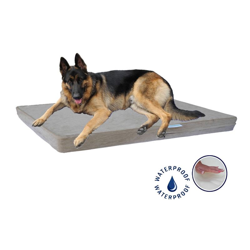 Go Pet Club 4" Solid Memory Foam Dog Bed with Waterproof Cover AA-25, 1 of 5
