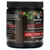 Plantfusion Organic Beet Root Powder - Superfood Beet Supplement to Support Blood Flow & Circulation - Fermented Whole Food Nutrition - Non-GMO, - 4 of 4