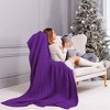 PiccoCasa Cotton Cable Soft Couch Decorative Knitted Throw Blanket 1 Pc - 3 of 4