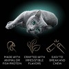 Sheba Chicken Flavor Value Pack Meaty Cat Treat Sticks - 2.11oz/15ct - 4 of 4