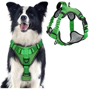 rabbitgoo Dog Harness, No Pull Dog Vest Harnesses with Bungee Handle & 2 Metal Clips, Belly Adjustable, Soft Padded for Large Medium Small Dogs - 1 of 1