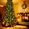 6Ft Pre-Lit Flocked Hinged Artificial Christmas Tree with 250 Warm White Lights and 650 Branch Tips - 2 of 4