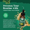 Rhodiola Rosea Tincture, Liquid Rhodiola Supplement for Stress Energy and Mood Support with 3% Salidrosides Rosea Extract, Nature's Craft, 60 servings - 4 of 4