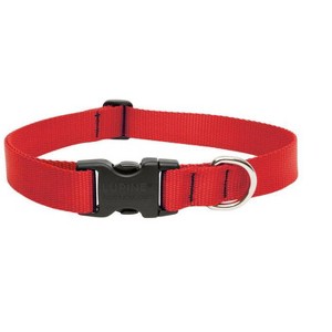 LupinePet Basic Solids Red Red Nylon Dog Adjustable Collar - 1 of 1