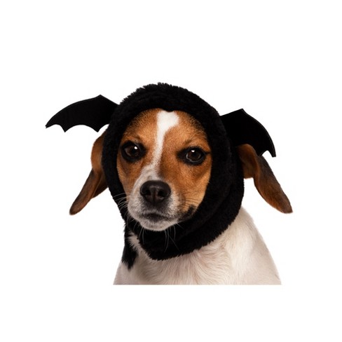 Bat hat outlet for dogs