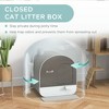 Whisen Hooded Cat Litter Box with Deodorizing Filter, Removable Tray, Scoop, Mat for Small Cats - 3 of 4