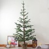 Northlight 5.25 FT Green Ponderosa Pine Artificial Christmas Tree with Jute Base- Unlit - 2 of 4