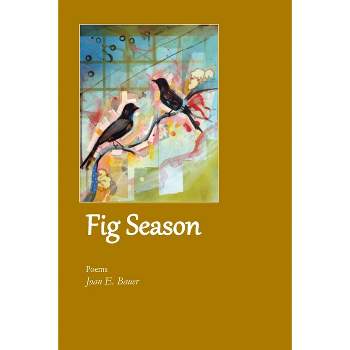 Fig Season - by  Joan E Bauer (Paperback)