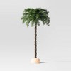 4' Pre-Lit Palm Artificial Christmas Tree with Clear Lights - Wondershop™ - 3 of 4