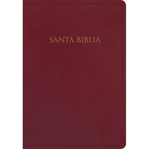 Rvr 1960 Biblia Para Regalos Y Premios, Borgoña Imitación Piel - by  B&h Español Editorial (Leather Bound) - 1 of 1