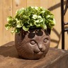 Sullivans 5.5" Brown Outdoor Cat Planter, Resin - 3 of 3
