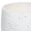 Set of 2 Contemporary Wood Oval Bowl Planters White - Olivia & May: Chic Fiber Clay Cauldron Design with Wooden Tripod Legs - 4 of 4