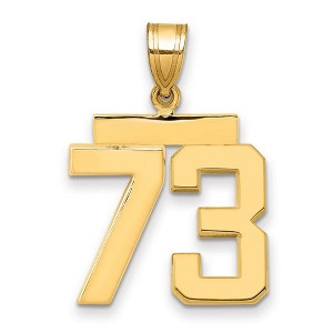 Black Bow Jewelry 14k Yellow Gold, Athletic Collection Medium Polished Number 73 Pendant - 1 of 3