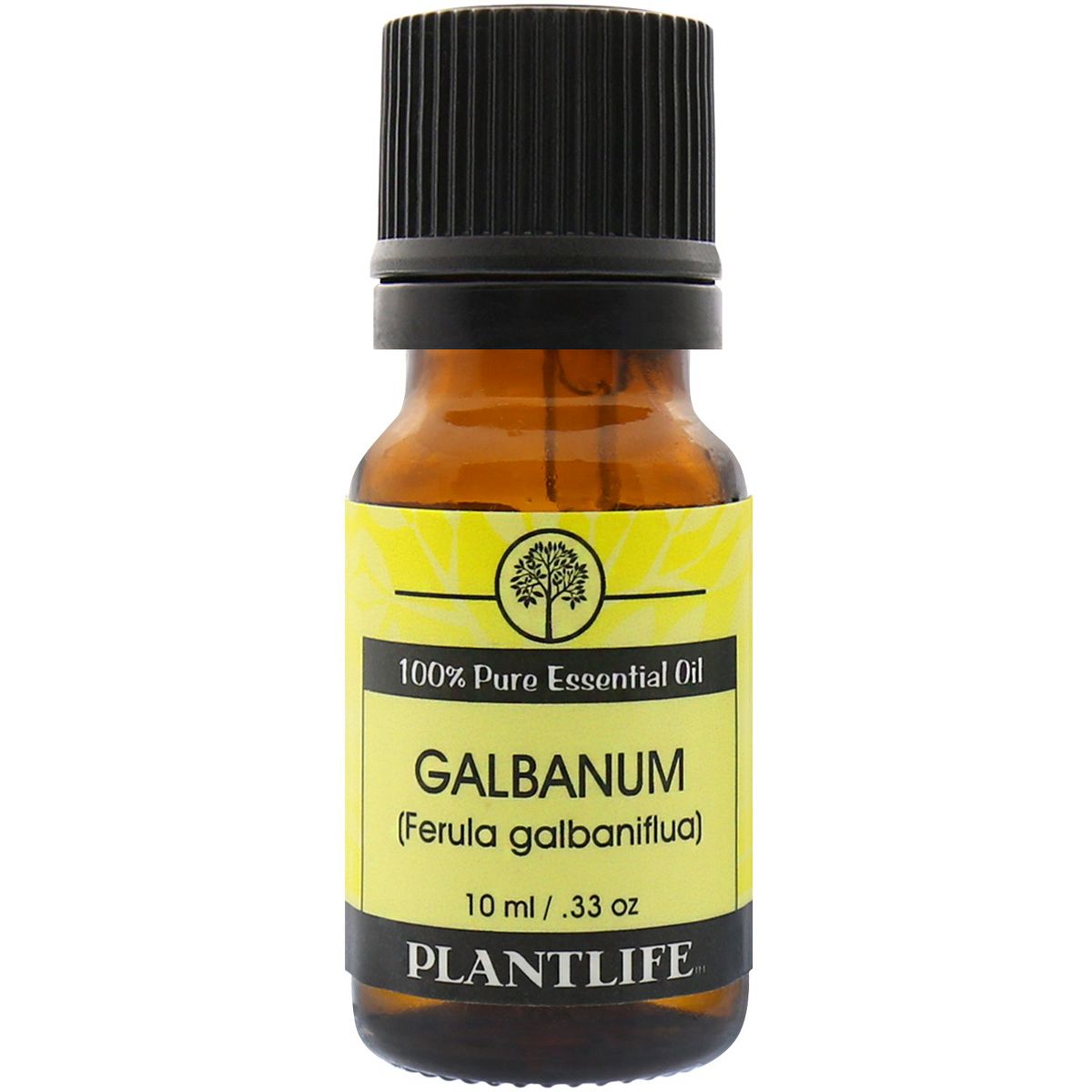Plantlife Galbanum Aromatherapy Essential Oil – 100% Pure, Therapeutic Grade, No Additives or Fillers, 10 ml