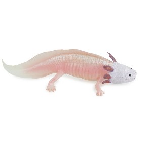 Axolotl, Pink, Ambystoma mexicanum, Rubber Salamander, Museum Quality, Hand Painted, Realistic Amphibian, Toy, 7 Inches Long. CH1021 BB217 - 1 of 4