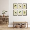 Plum & Post Hummingbird Prints Set of 6 - 4 of 4
