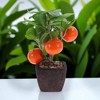 Unique Bargains Artificial Plants Plastic Orange 3.15"x3.15"x9.06" 1 Pcs - 2 of 4