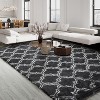 Coucheta Fluffy Shag Runner Rug, Non-Slip Plush Area Rug, Ultra Soft Hallway Carpet for Living Room Bedroom, Machine Washable,  Multi-Color & Size - 2 of 4