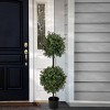National Tree Company 46" Pre-Lit Boxwood Double Ball Topiary: Indoor/Outdoor, Matte Black Pot, 100 Clear Lights - 2 of 3