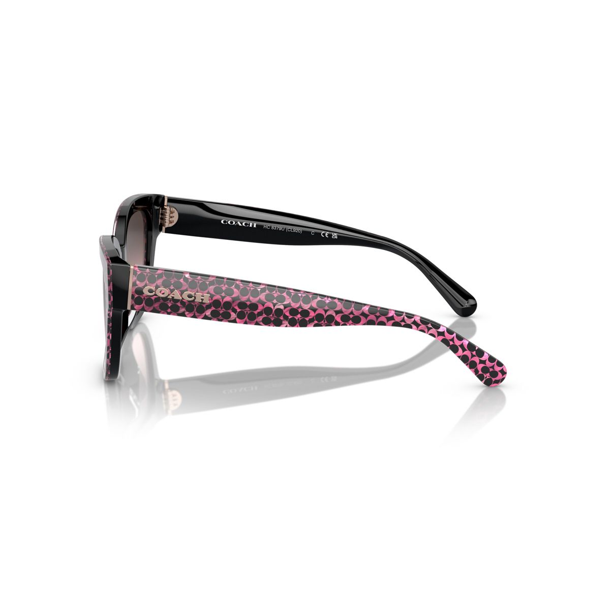 Coach HC8379U 54mm Female Butterfly Sunglasses - thumbnail 9
