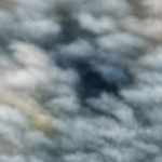 light gray, off white, navy, light blue, mustard